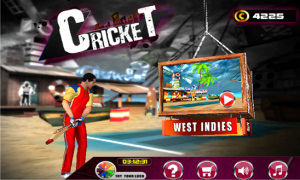 cricket games