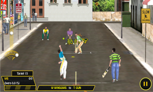 cricket games