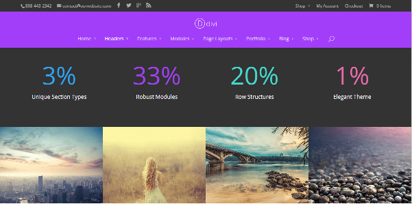 Divi theme 