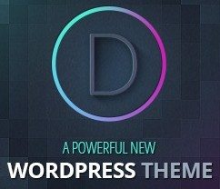 WordPress Divi Theme