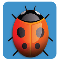 AppBugs Security Scan