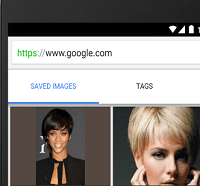 google image search