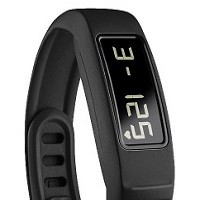 Garmin Vivofit 2