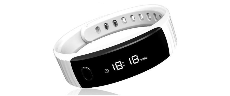 fitrist smartband