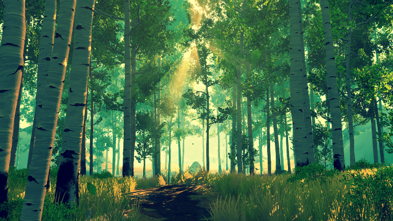 firewatch