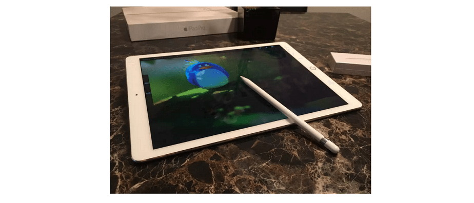 Stylus for iPad and Tablets