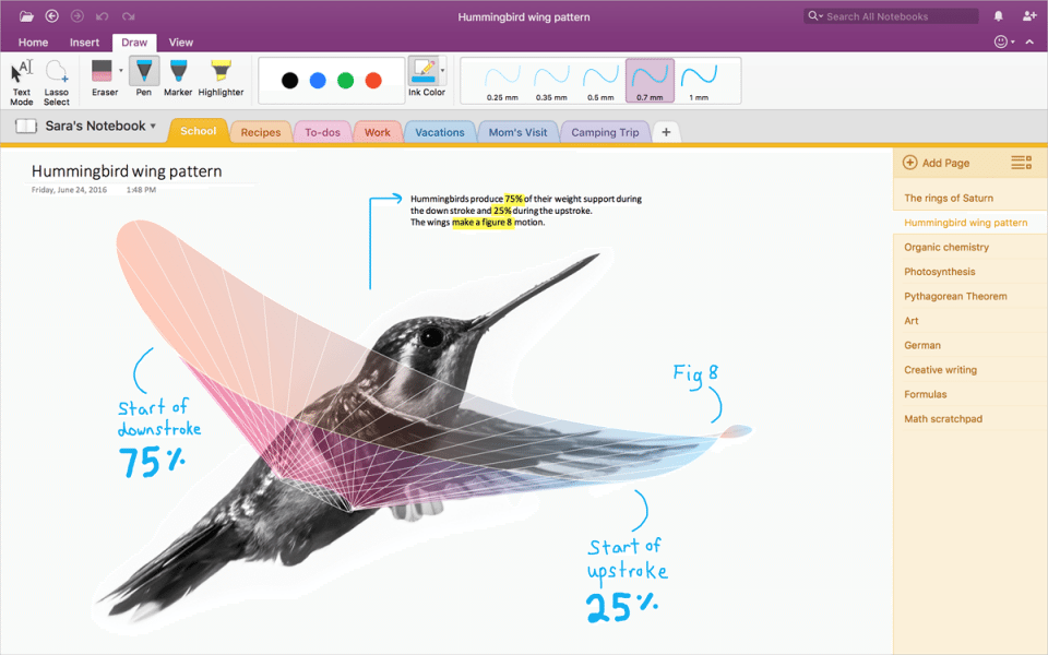 OneNote Import Tool 