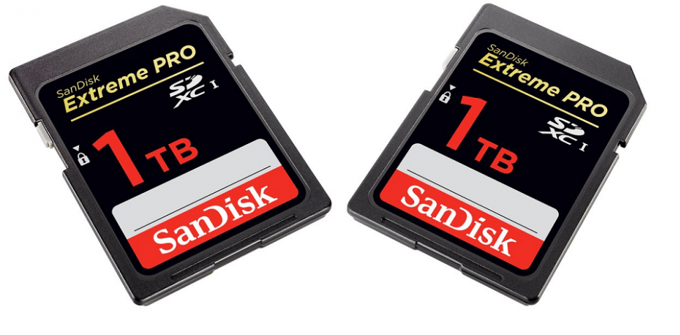 1TB SD Card