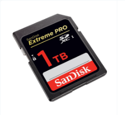 1TB SD Card