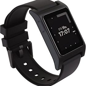 pebble 2