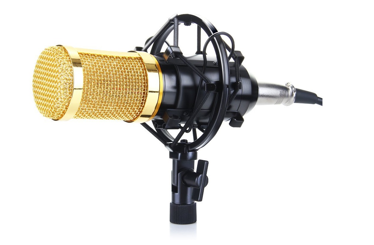 Microphones under $200 