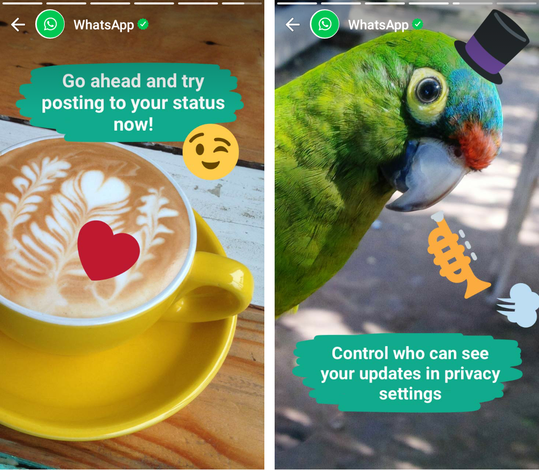 WhatsApp Status Feature