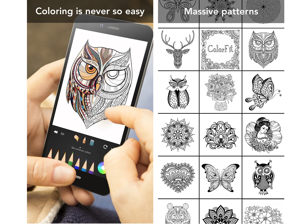 Download Unleash Your Creativity With These Adult Coloring Apps