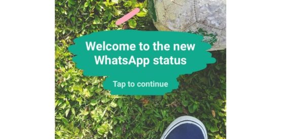 WhatsApp Status Feature