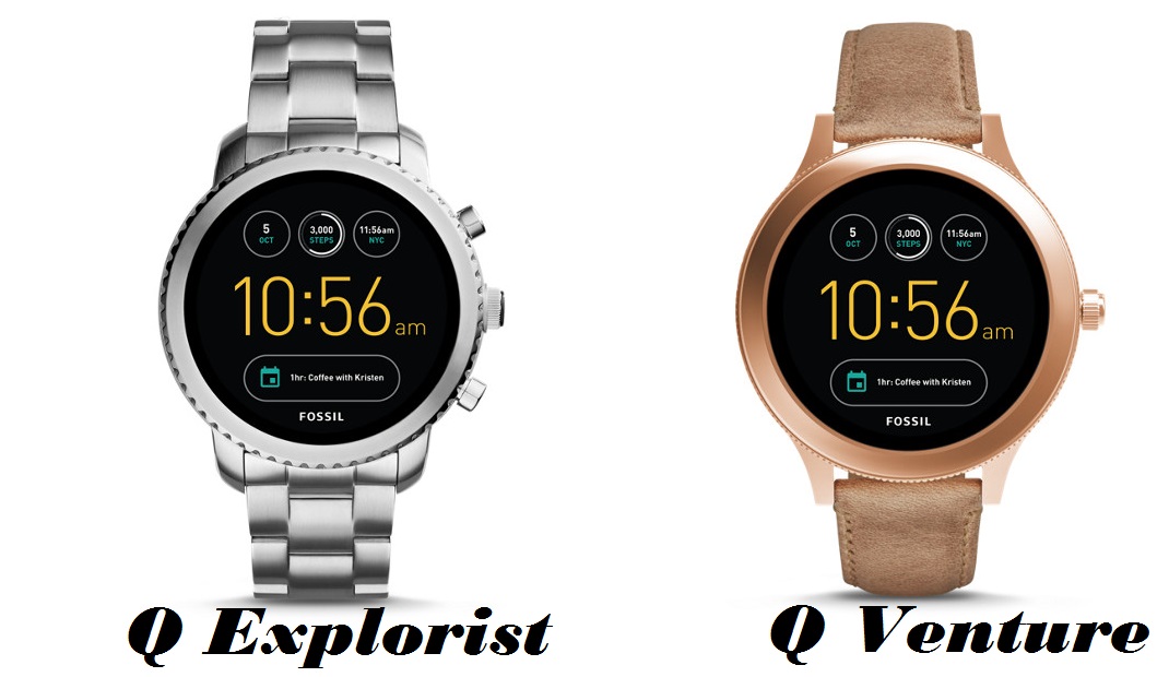 q explorist